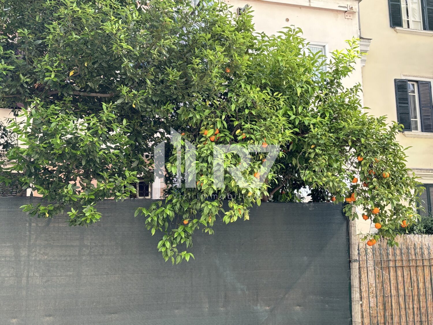 FLAMINIO APPARTAMENTO IN VENDITA 3 CAMERE  7