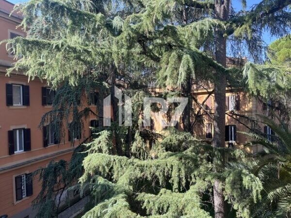 FLAMINIO ROMA APPARTAMENTO IN VENDITA SALONE 2 CAMERE 27